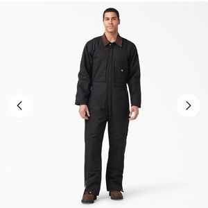 Men’s Dickies insulated coveralls. NWT! Size Mshort